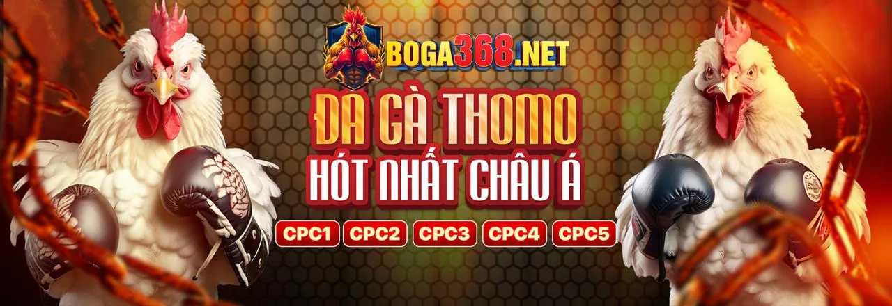 Câu hỏi thường gặp star88 casino